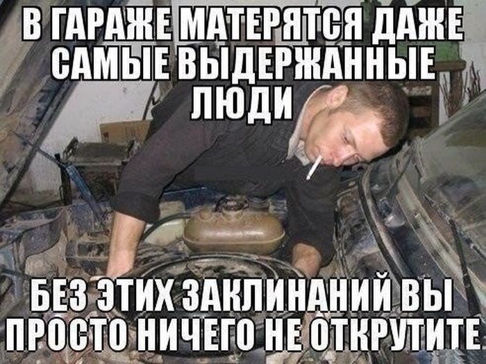Смешные картинки с надписями