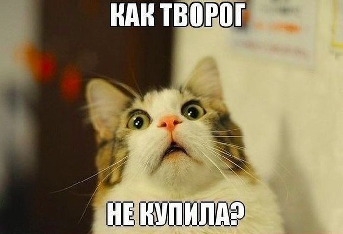 Смешные картинки с надписями