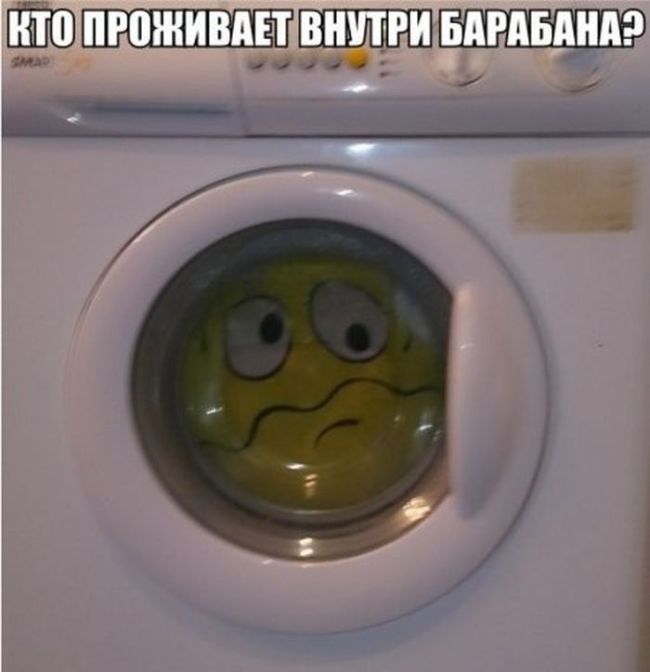Смешные картинки с надписями