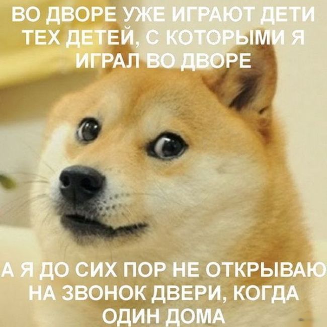 Смешные картинки с надписями