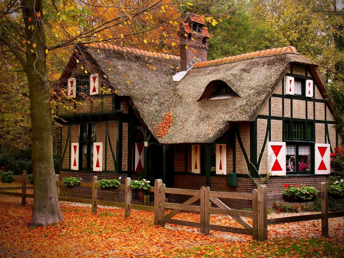 Каникулы у бабушки Каникулы у бабушки