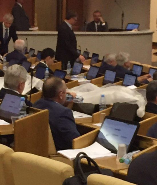 Выступление Яровой было прервано протекающей крышей