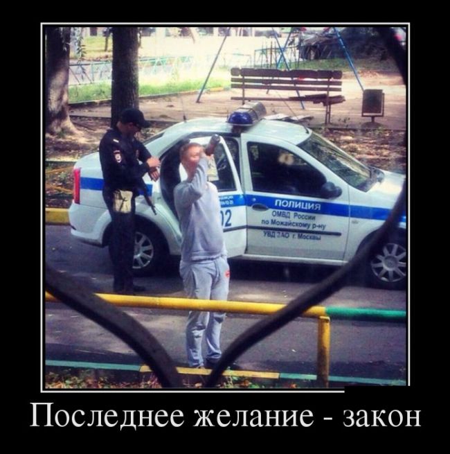 Демотиваторы