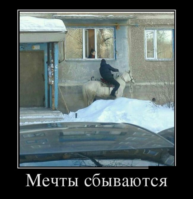 Демотиваторы