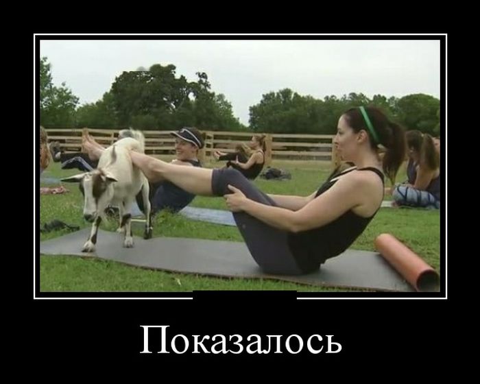 Демотиваторы