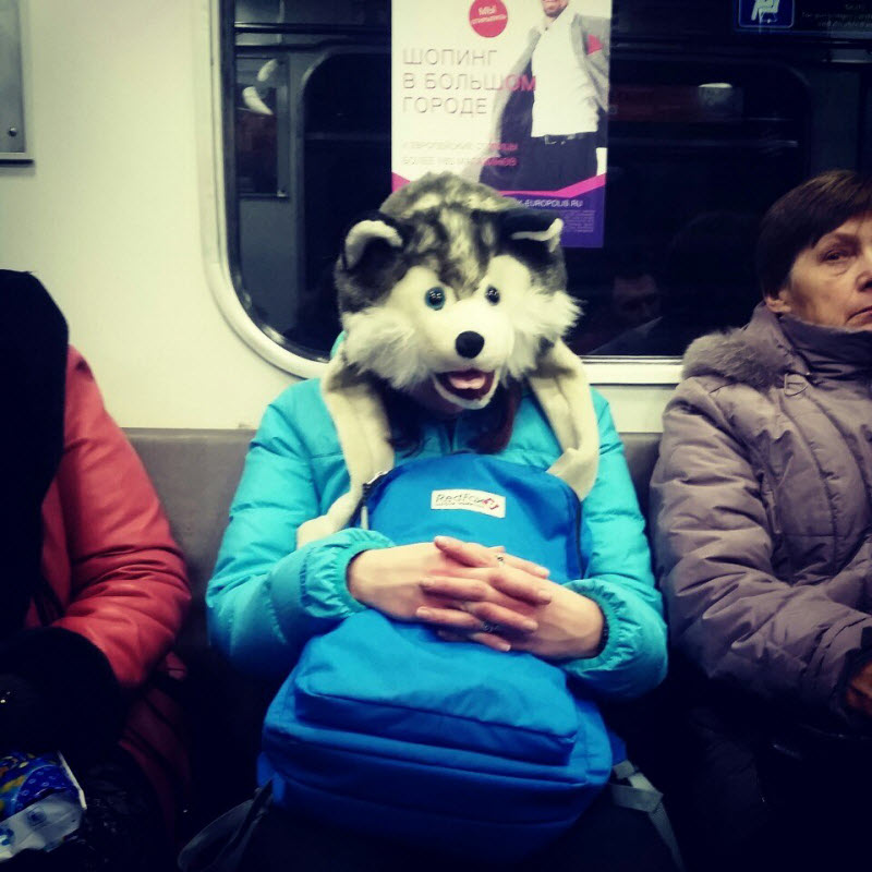 Модники из метрополитена