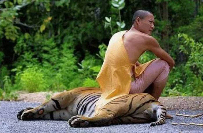 Люди, которым плевать на всё