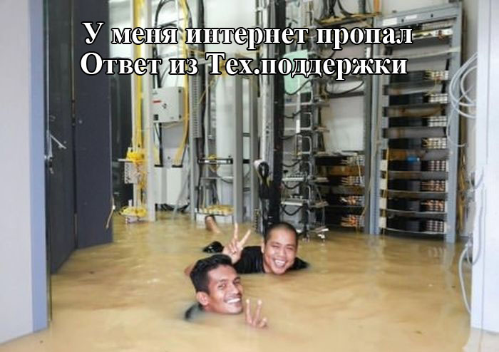 Порция картинок