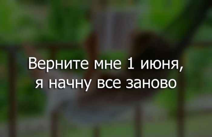 Порция картинок