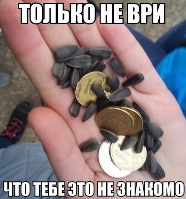 Порция картинок