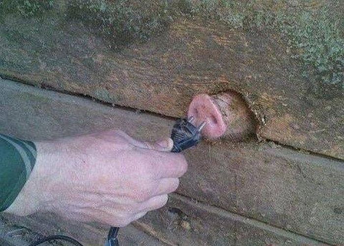 Необъяснимые фотографии