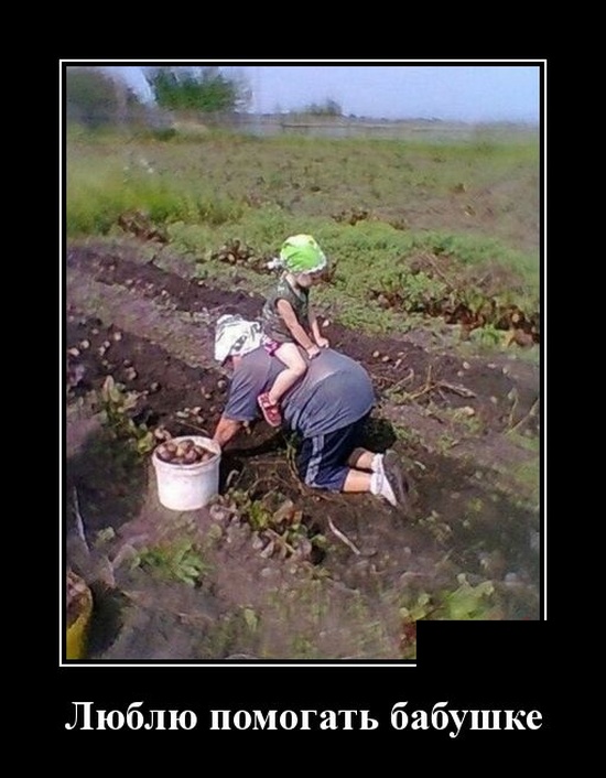 Демотиваторы