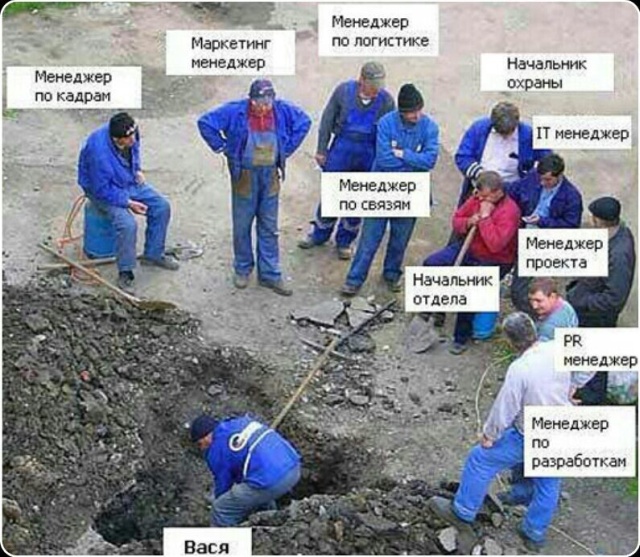 "Живой мем" за окном