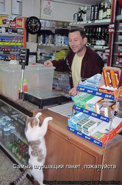 Лучшие котоматрицы недели
