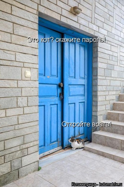 Лучшие котоматрицы недели