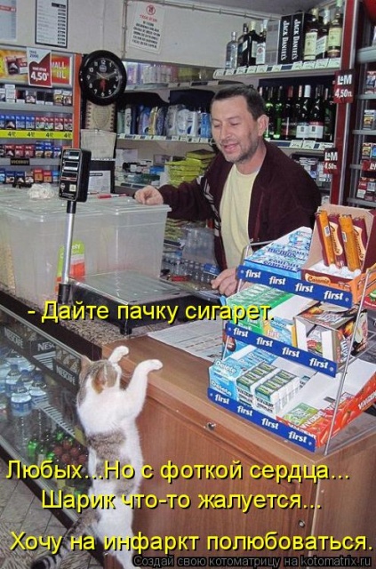 Лучшие котоматрицы недели