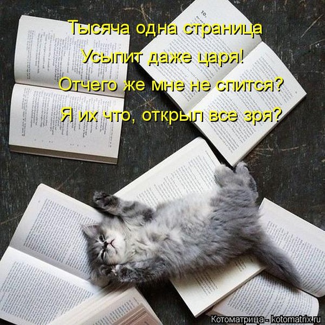 Лучшие котоматрицы недели