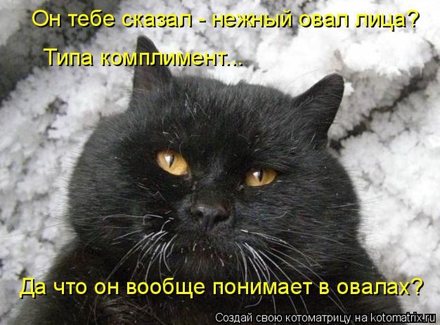 Лучшие котоматрицы недели