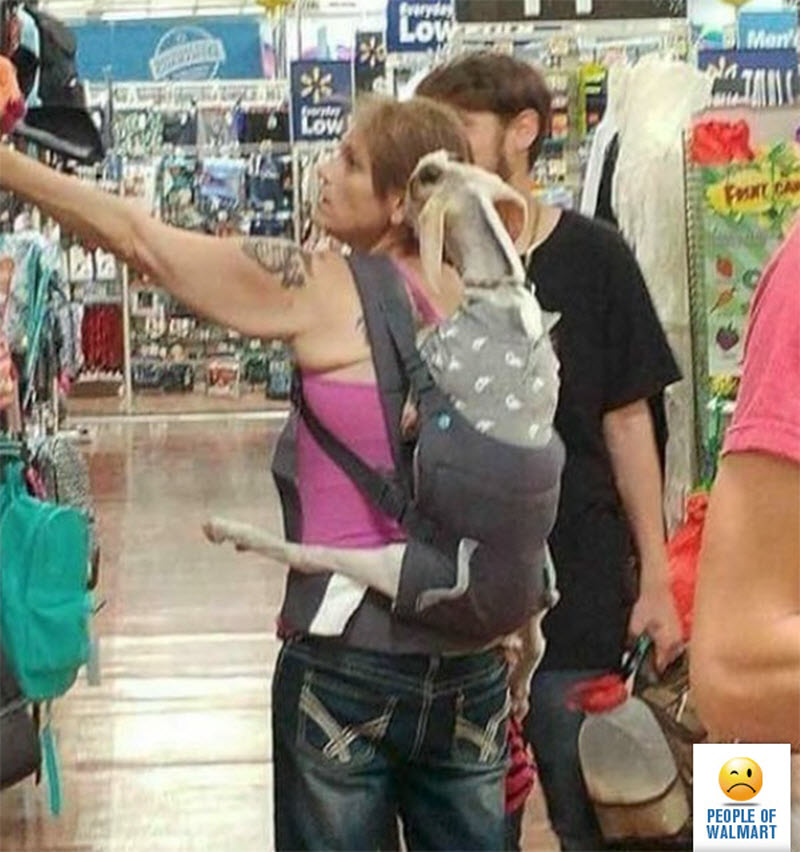 Экстравагантные покупатели Walmart