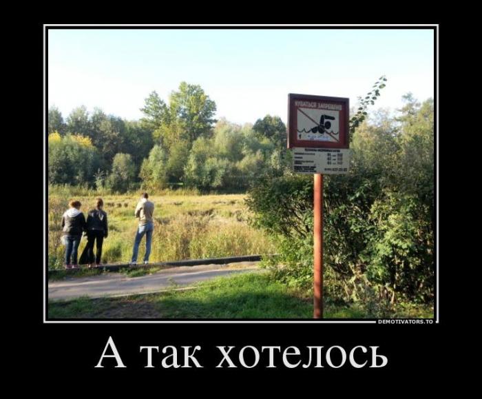 Демотиваторы (60 фото)