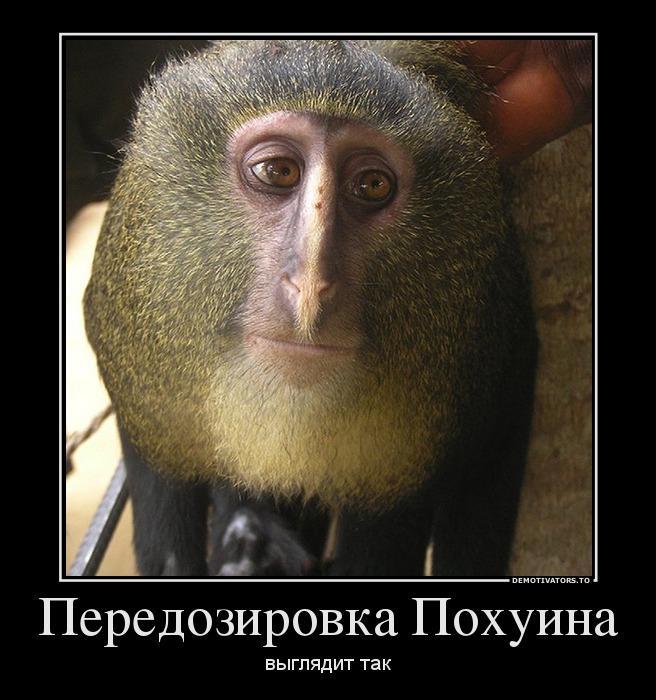 Демотиваторы (60 фото)