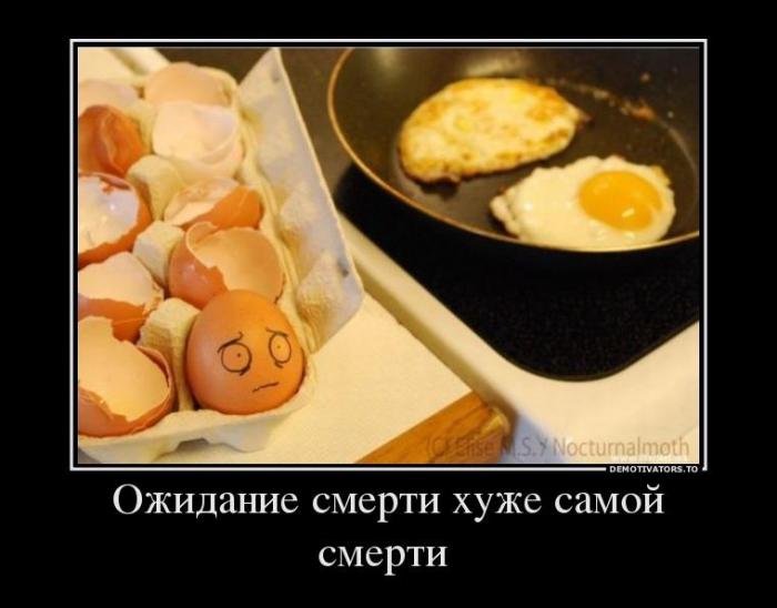Демотиваторы (60 фото)