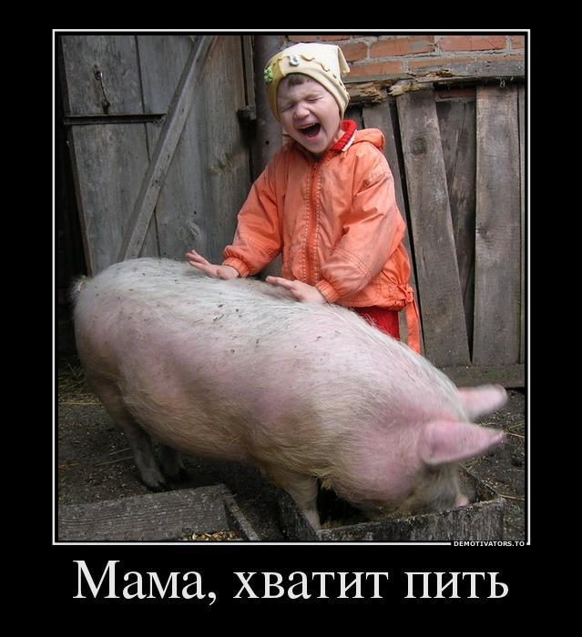 Демотиваторы (60 фото)