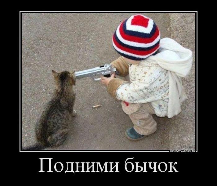 Демотиваторы (60 фото)