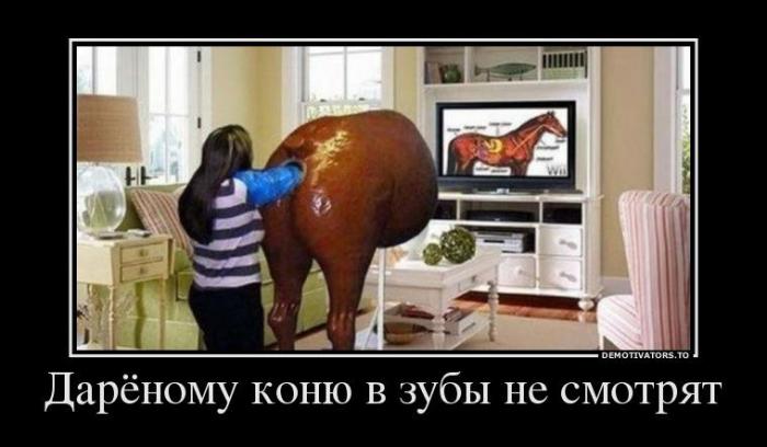Демотиваторы (60 фото)