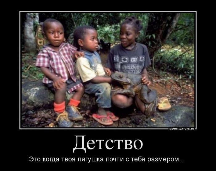 Демотиваторы (60 фото)