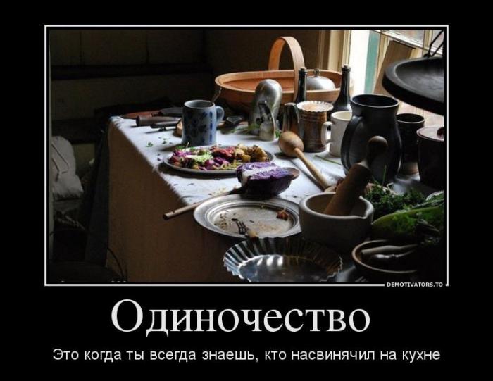 Демотиваторы (60 фото)