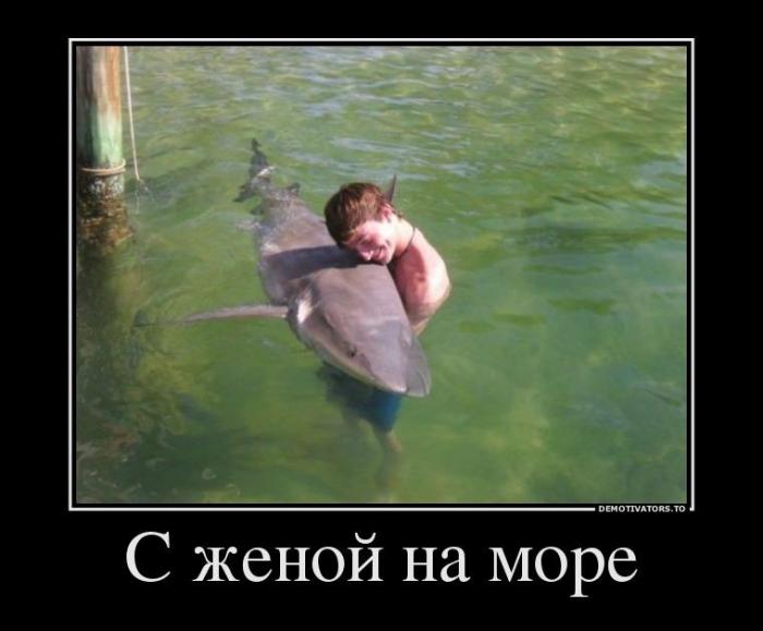 Демотиваторы (60 фото)