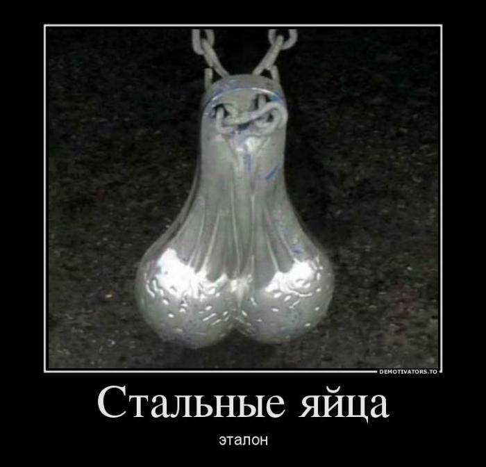 Демотиваторы (60 фото)
