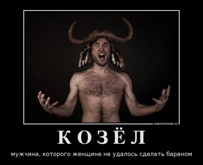 Демотиваторы (60 фото)