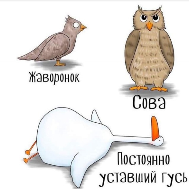 Смешные комиксы