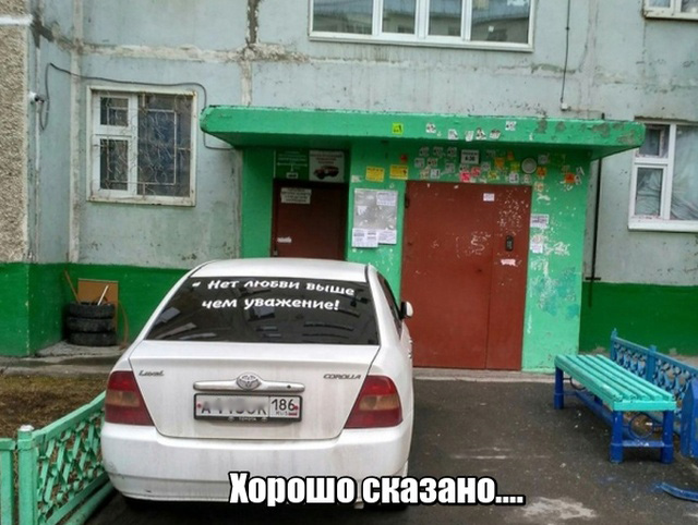 Прикольные картинки