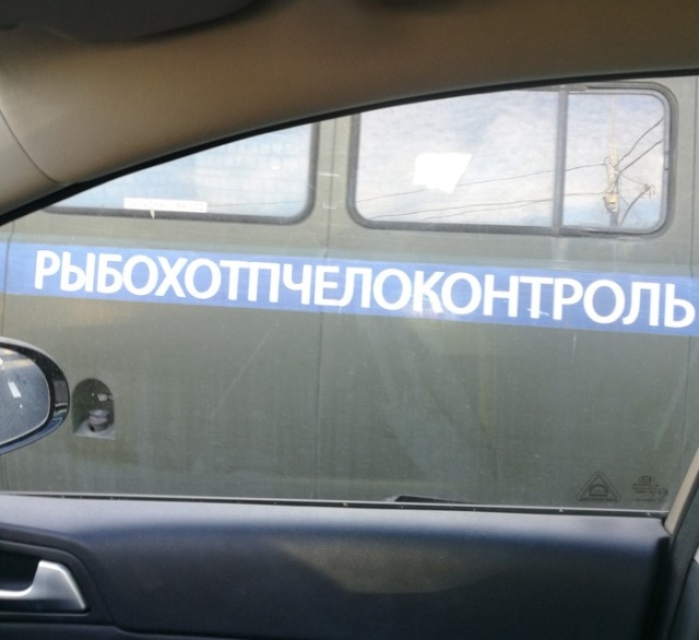 Прикольные картинки