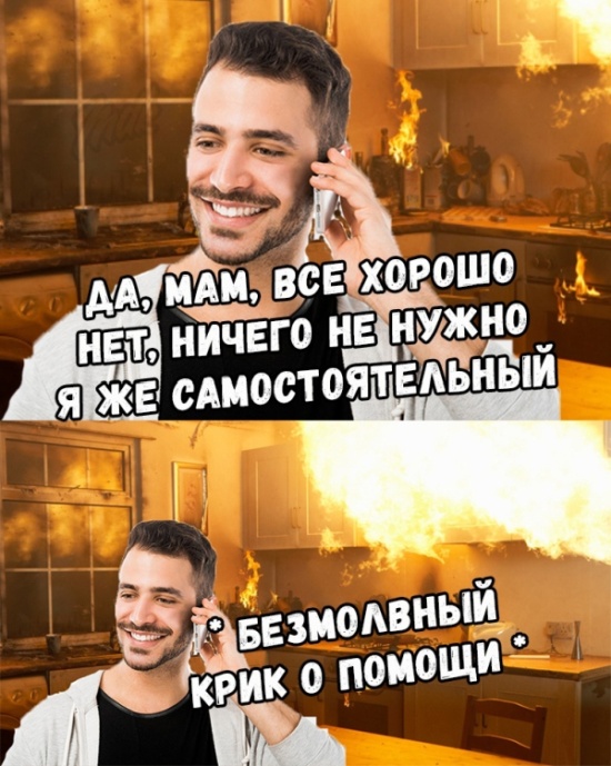 Прикольные картинки
