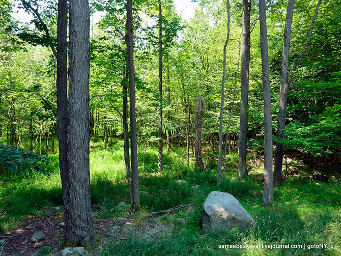 Что можно купить в США по цене однушки в Москве