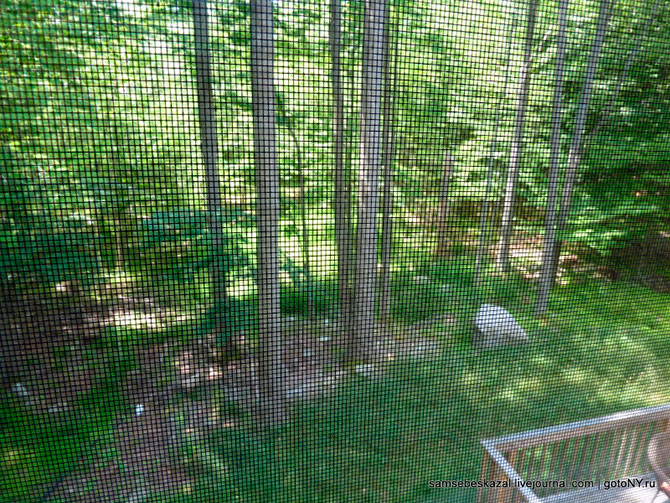 Что можно купить в США по цене однушки в Москве