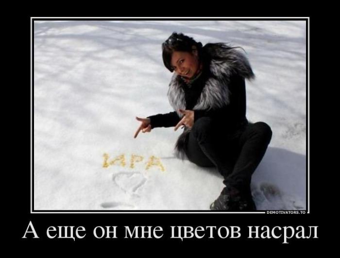 Демотиваторы (66 фото)