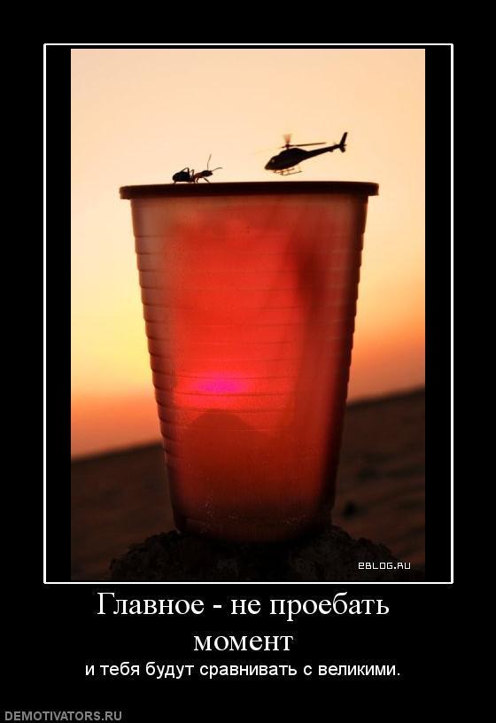 Демотиваторы (66 фото)