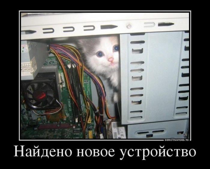 Демотиваторы (66 фото)