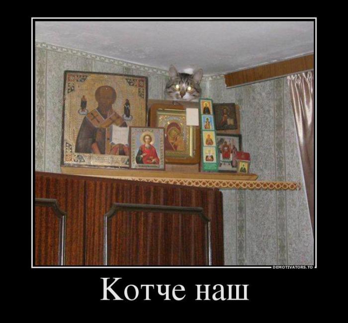 Демотиваторы (66 фото)