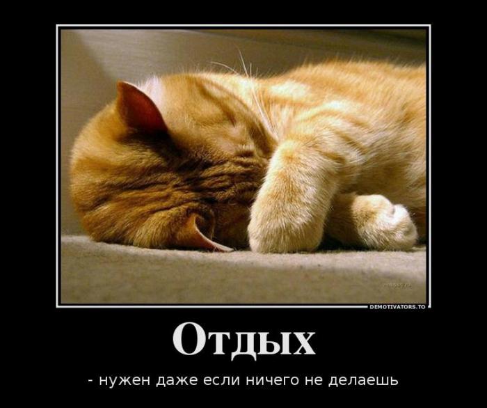 Демотиваторы (66 фото)