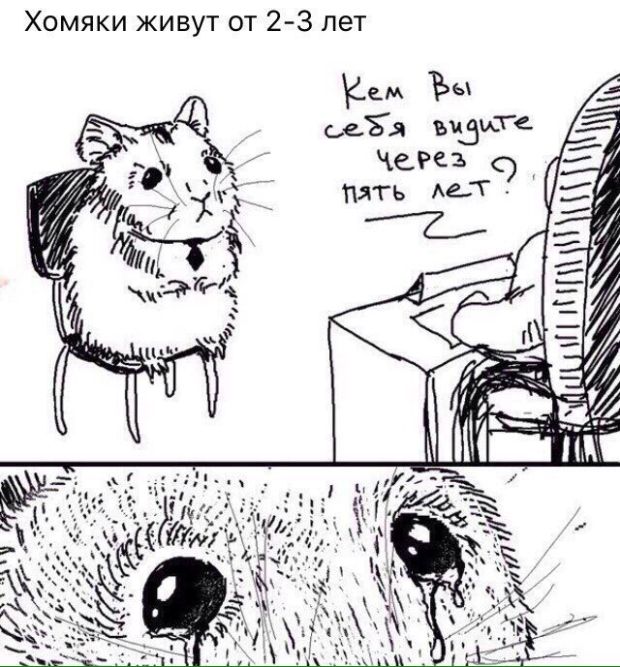 Смешные комиксы