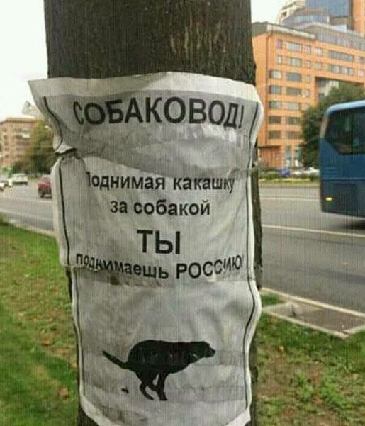 Перлы в вывесках и объявлениях