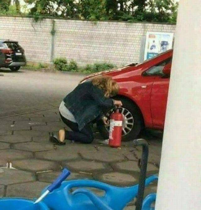 Прикольные картинки