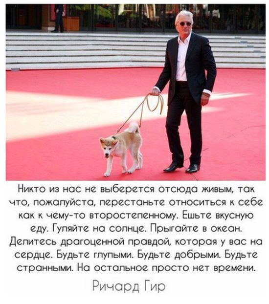 Прикольные картинки