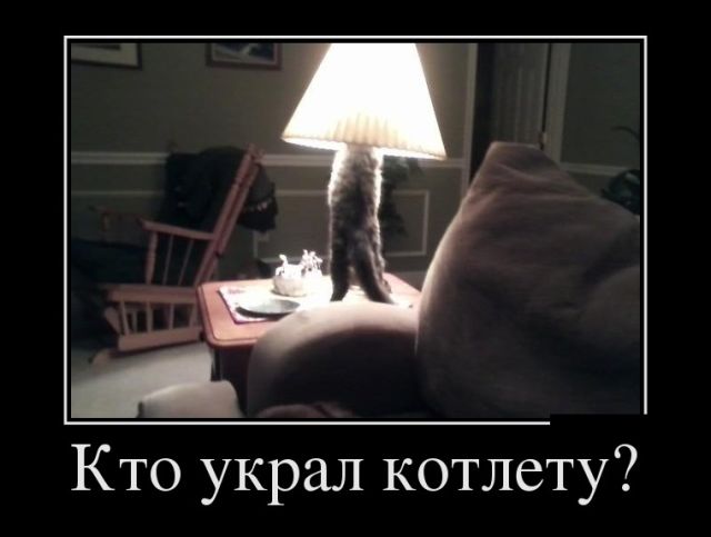 Демотиваторы